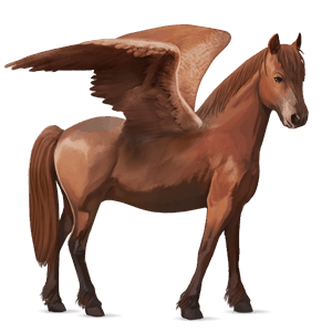 pegasus pony chestnut