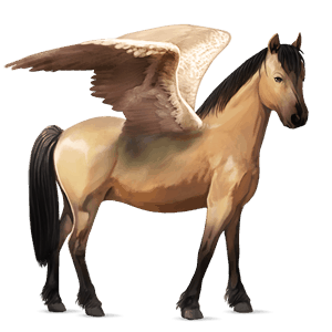 pegasus pony dun