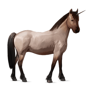 unicorn pony dartmoor black