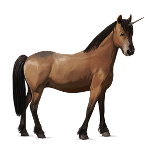 unicorn pony new forest bay