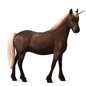 unicorn pony dun