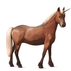 unicorn pony highland pony chestnut