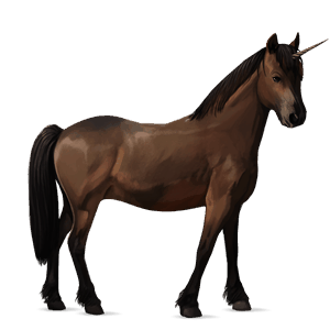 unicorn pony dartmoor dark bay