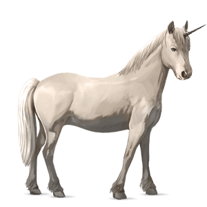 unicorn pony newfoundland pony chestnut