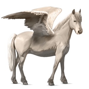 pegasus pony fjord brunblakk