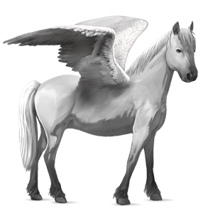 pegasus pony light grey