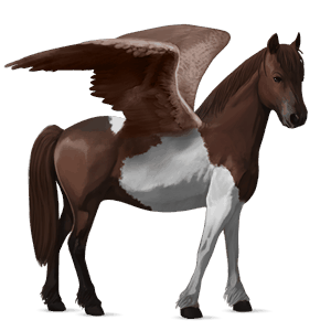 riding pegasus selle français chestnut