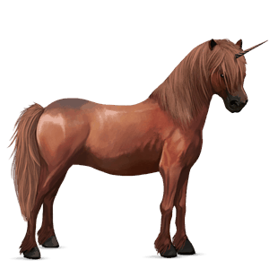 unicorn pony newfoundland pony chestnut