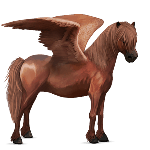 riding pegasus polish konik chestnut