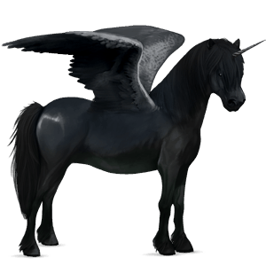 winged unicorn pony  dartmoor black