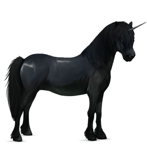 unicorn pony new forest bay