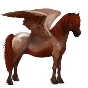 pegasus pony highland pony mouse grey