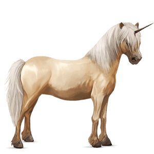 unicorn pony new forest palomino