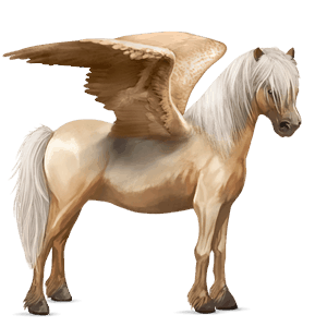 pegasus pony fjord brunblakk