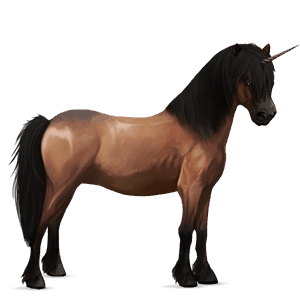 unicorn pony liver chestnut