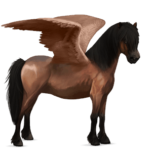 pegasus pony belgian riding pony bay