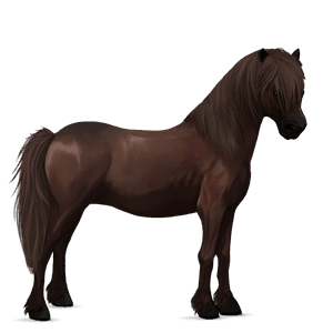 pony dapple grey