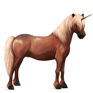 unicorn pony bay