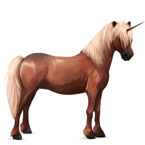 unicorn pony highland pony roan