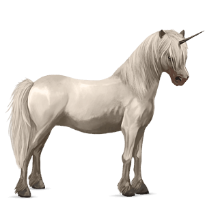 unicorn pony dartmoor dark bay