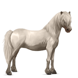 pony dapple grey