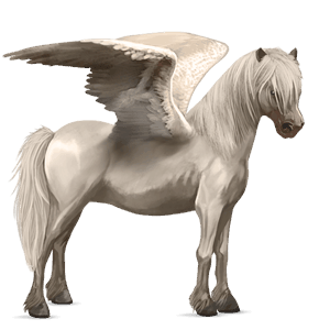 pegasus pony dartmoor mouse grey
