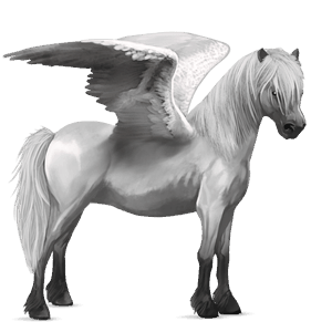 pegasus pony connemara light grey