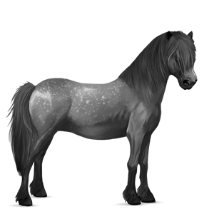 riding horse purebred spanish horse dapple grey