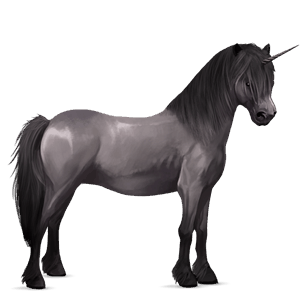 unicorn pony black