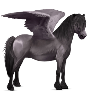 pegasus pony new forest mouse grey