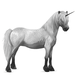 unicorn pony dartmoor dark bay