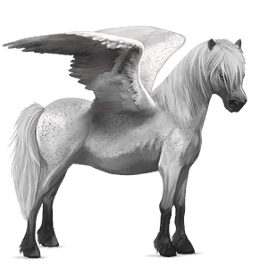 pegasus pony new forest bay