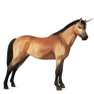 unicorn pony black