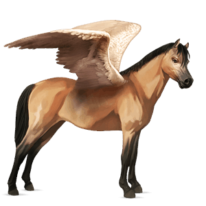 pegasus pony fjord brunblakk