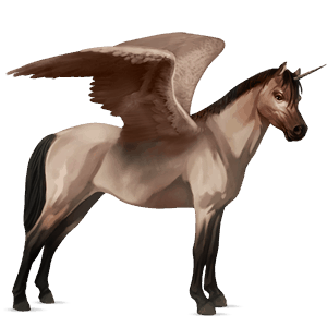 winged unicorn pony  shetland cherry bay