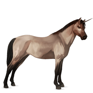 unicorn pony brunblakk