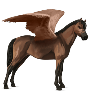 pegasus pony dartmoor cherry bay