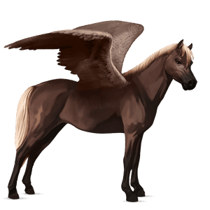 pegasus pony belgian riding pony flaxen liver chestnut 