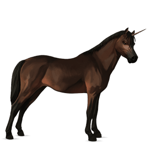 unicorn pony dartmoor dark bay