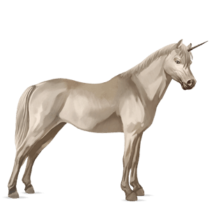 unicorn pony new forest cherry bay