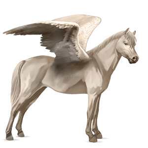 pegasus pony connemara cremello