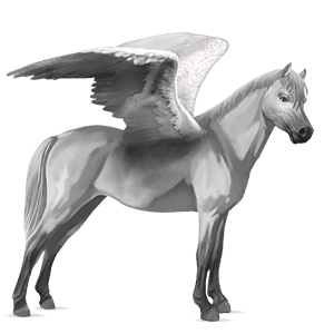 riding pegasus light grey