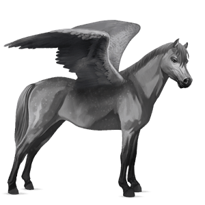pegasus pony dapple grey