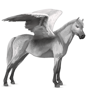 pegasus pony new forest light grey