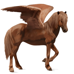 riding pegasus icelandic horse chestnut