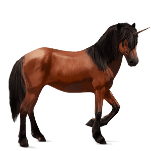 riding unicorn purebred spanish horse cherry bay