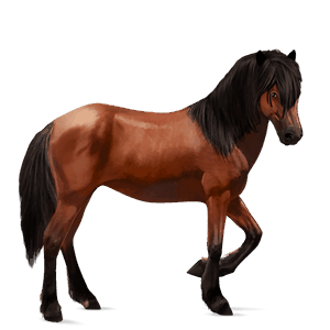 riding horse thoroughbred dapple grey
