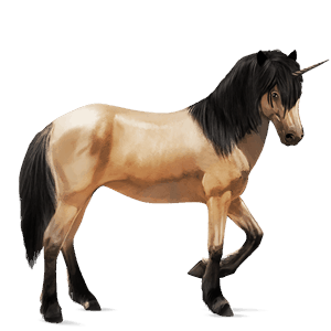 riding unicorn dark bay