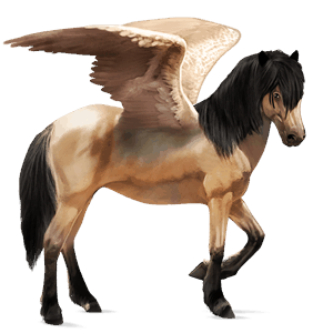 riding pegasus icelandic horse dun
