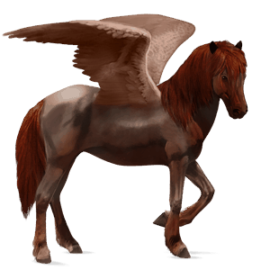 riding pegasus paint horse chestnut overo